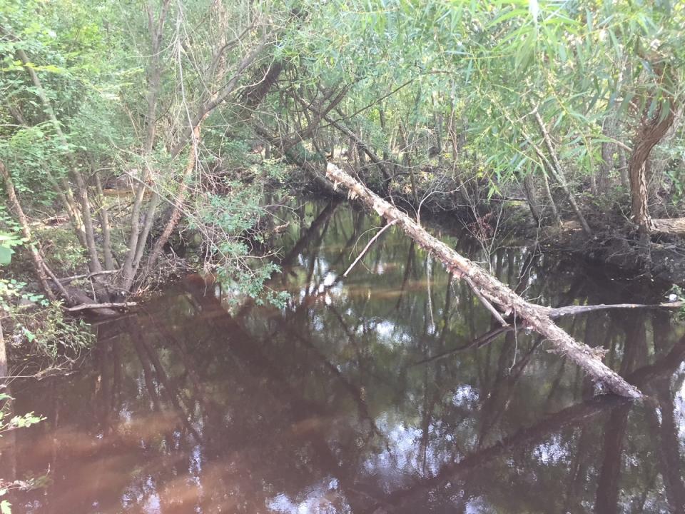 A severely clogged stream on Ramtown-Greenville Rd. in Howell that Howell Twp. officials said they wished they could clear trees and brush from, to allow water to flow.