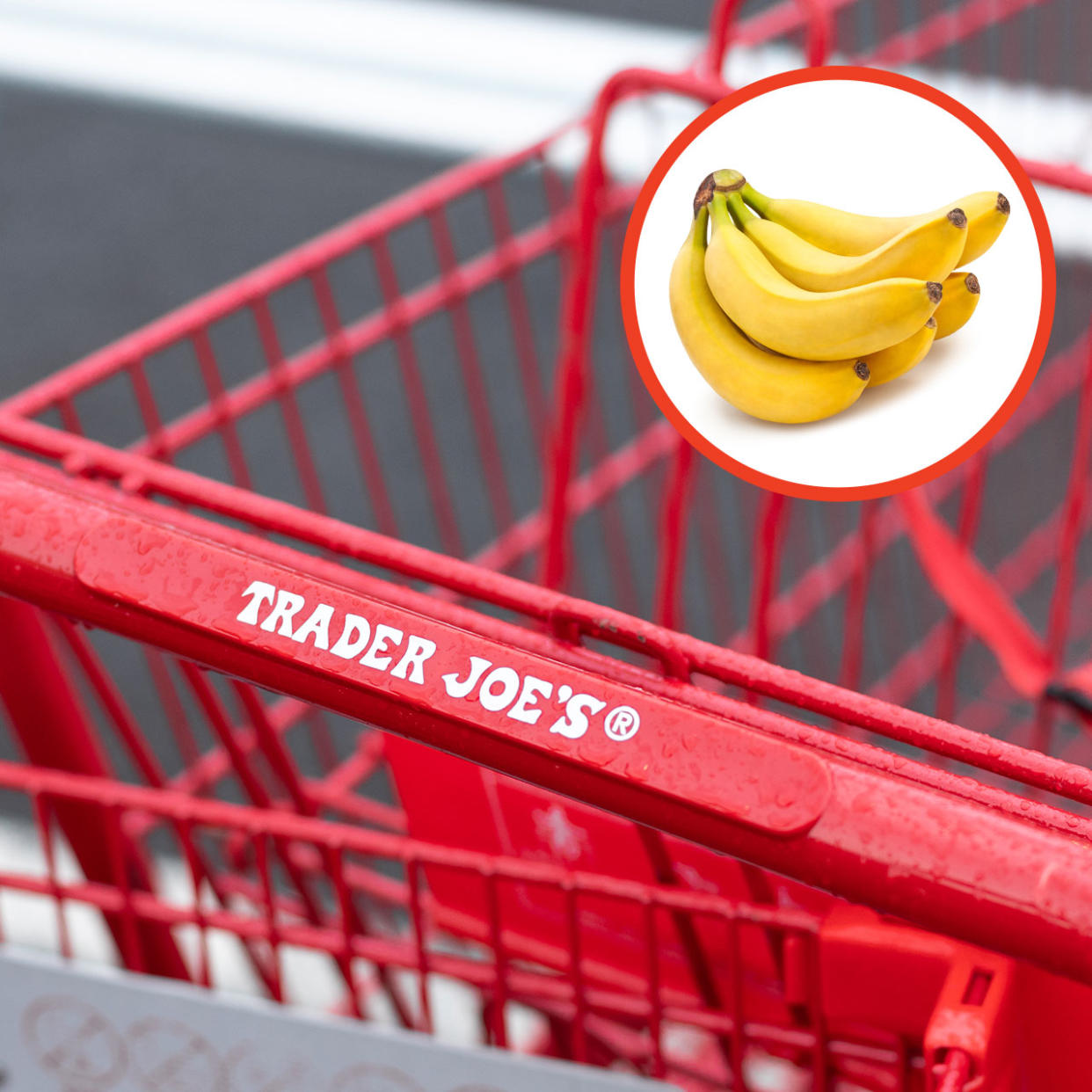 trader joe's bananas