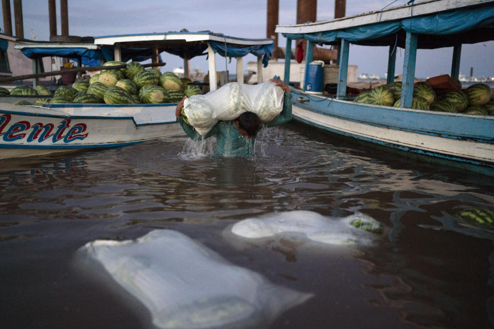 In this Nov. 18, 2019 photo, 24-year-old Donizete carries a heavy sack of watermelons through the water at the edge of the Tapajos river as he unloads a boat with goods to be delivered to the local market in Santarem, Para state, Brazil. The town, at junction of the Tapajos and Amazon rivers, is an important hub where grain is loaded onto barges for a downriver trip that takes days, then poured into ships' holds and dispatched across the world, largely to China. (AP Photo/Leo Correa)