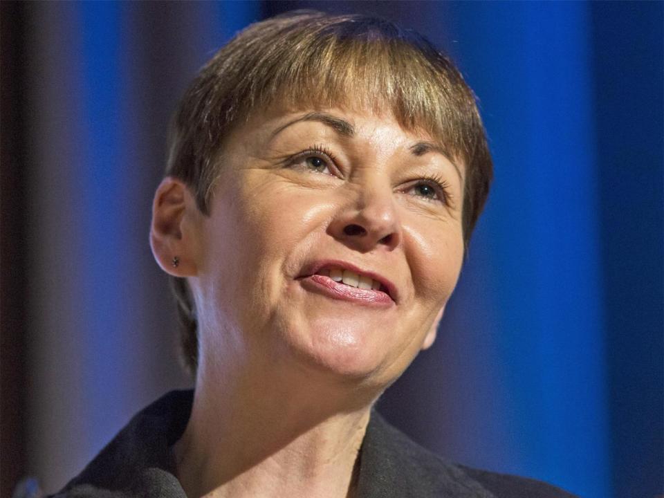 Green MP Caroline Lucas criticised the decision (Getty)