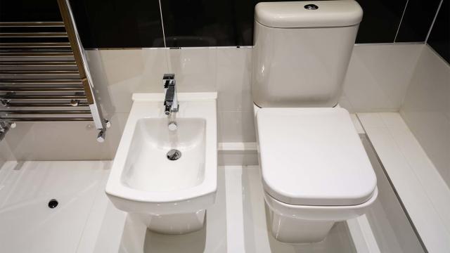Rudyard Kipling side løber tør What Is a Bidet? The Shocking Truth About This Exotic Bathroom Upgrade