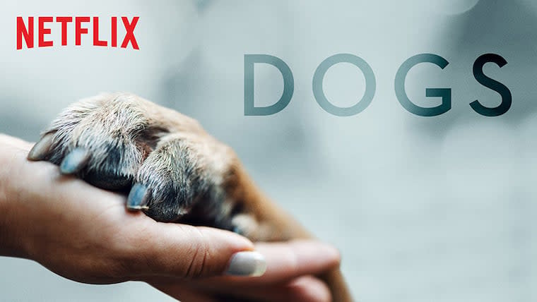 Netflix's 'Dogs' Season 1 Episode 1 Recap