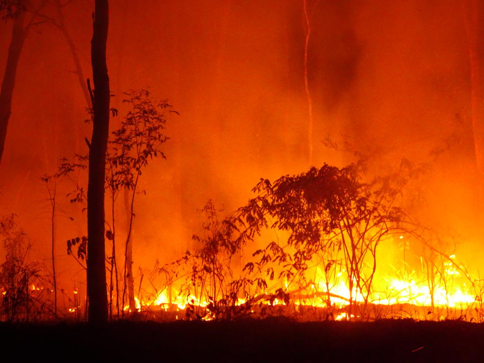 North of Bamaga, Far North Queensland.