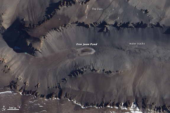 Antarctica's Don Juan Pond is the saltiest body of water on the planet.