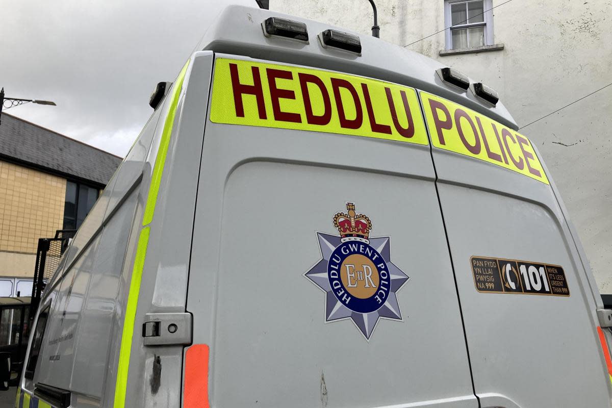 Police launch appeal into van theft <i>(Image: File)</i>