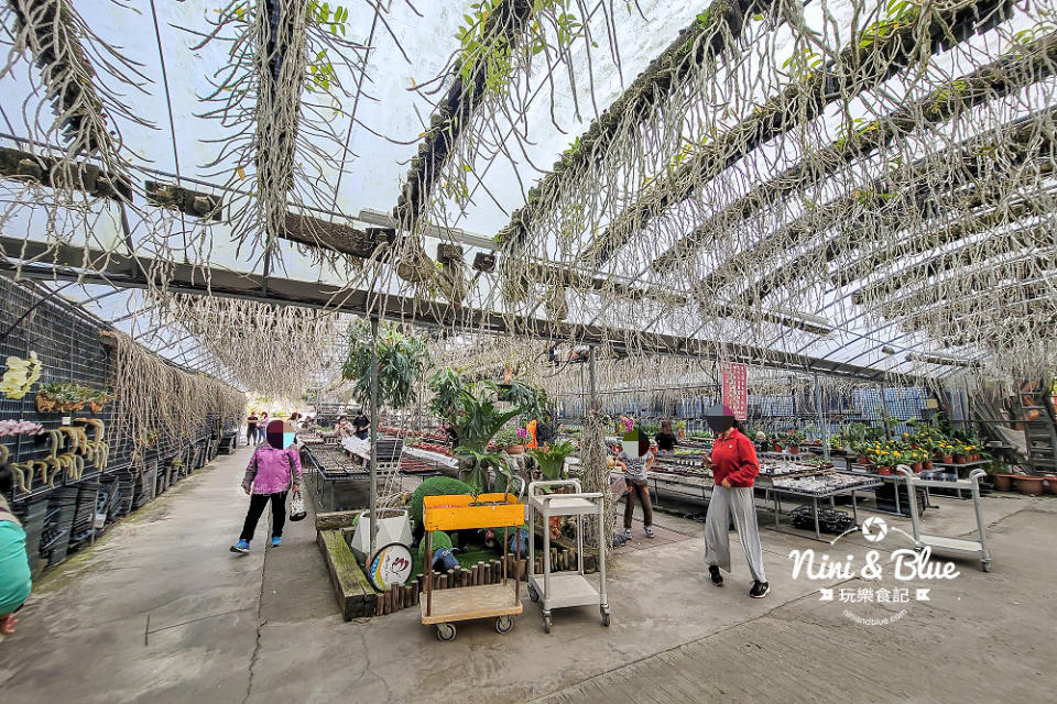 台中后里｜萌芳花卉農場