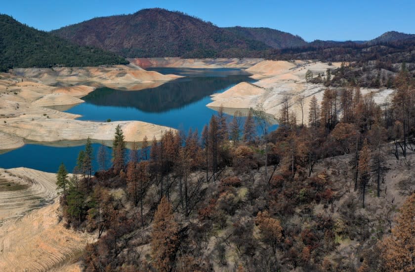 OROVILLE, CALIFORNIA - APRIL 27: Trees burned by the recent Bear Fire line the steep banks of Lake Oroville where water levels are low on April 27, 2021 in Oroville, California. Four years after then California Gov. Jerry Brown signed an executive order to lift the California's drought emergency, the state has re-entered a drought emergency with water levels dropping in the state's reservoirs. Water levels at Lake Oroville have dropped to 42 percent of its 3,537,577 acre-foot capacity. (Photo by Justin Sullivan/Getty Images)