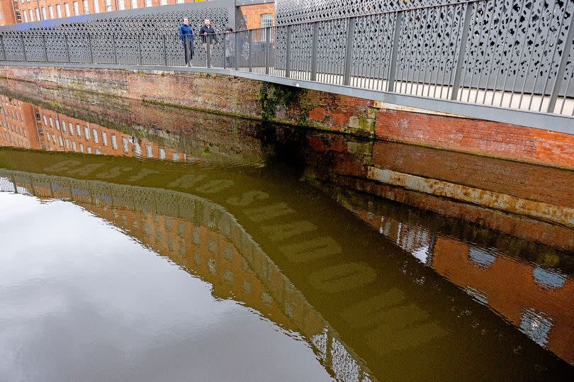 The Tib Street parrots -Credit:Stephen Richards/Geograph