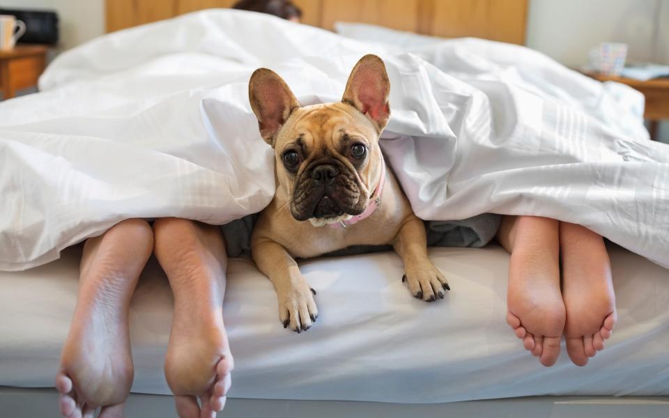 'You plan to have a better weekend Because you are terror-stricken that your weekends are actually a metaphor for your existence: wasteful, teary, drunk and greedy, instead of virtuous, inspiring and nourishing' - Getty Images