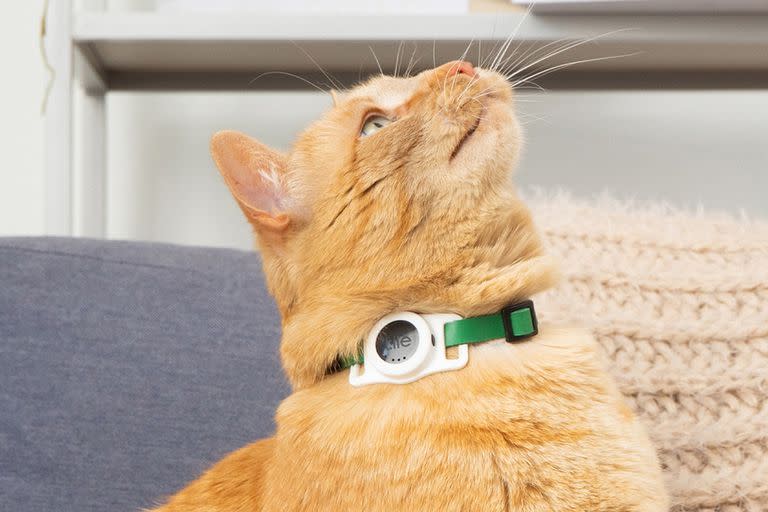 Tile for Cats es un rastreador Bluetooth para gatos; se engancha al collar, y tiene una autonomía de tres años