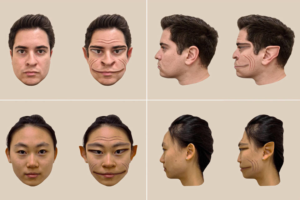Computer-generated images of the distortions of a male face (top) and female face (bottom), as perceived by the patient in the study. (A. Mello et al.)
