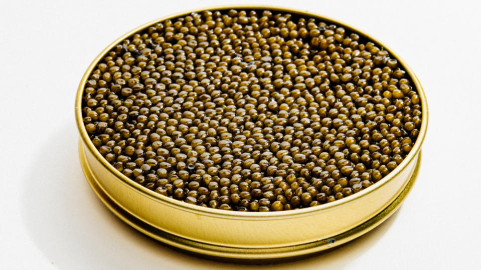 Regiis Ova Hybrid Caviar