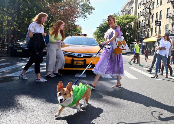 Mandatory Credit: Photo by Alberto Reyes/REX/Shutterstock (9165883b) Participants in the 27th Annual Tompkins Square Halloween Dog Parade 27th Annual Tompkins Square Halloween Dog Parade, New York, USA - 21 Oct 2017