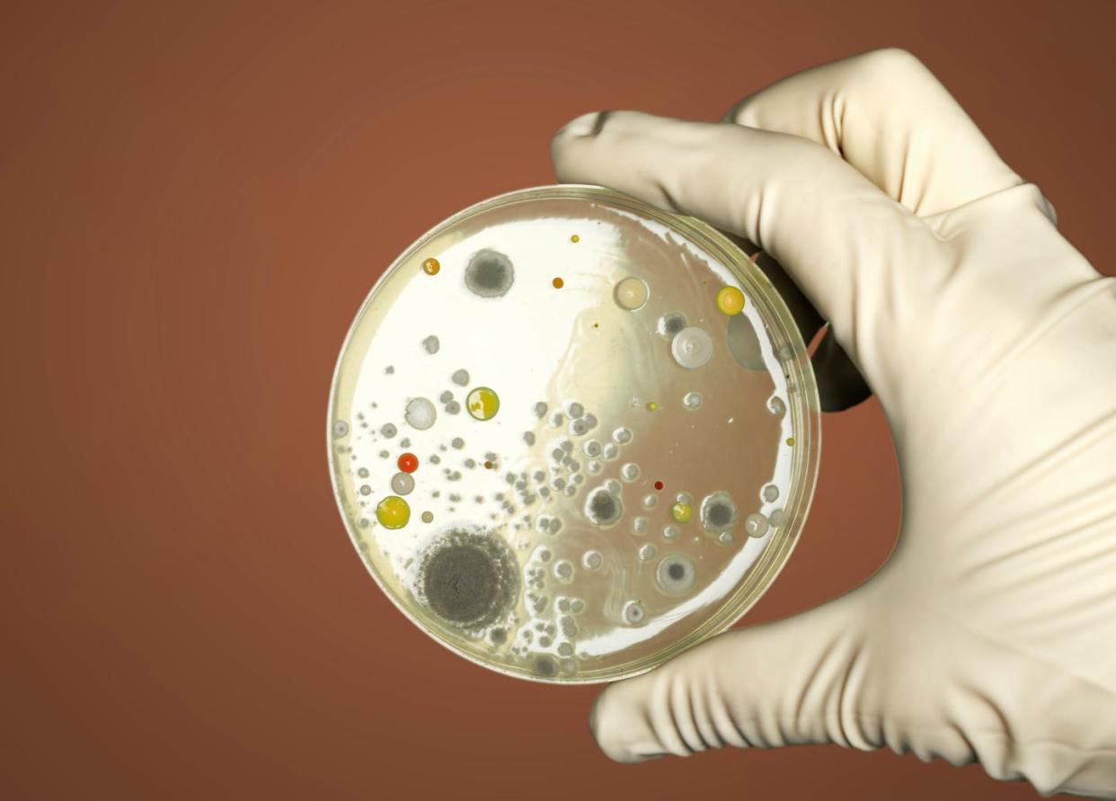 While antimicrobial resistance is a threat to all humanity, a tale of two worlds emerges, highlighting the heightened vulnerability of low- and middle-income countries. (Shutterstock)