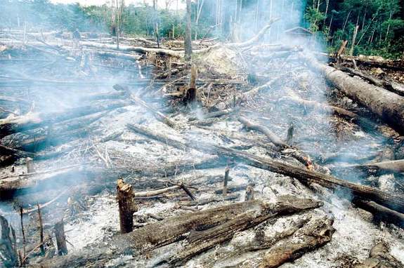 Slash and burn in the Amazon.