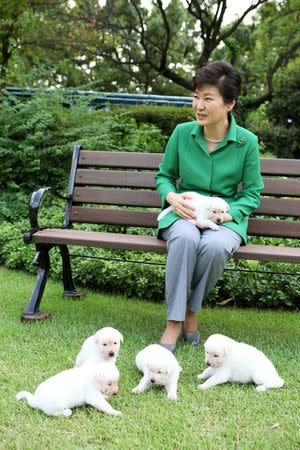 South Korea's former president Park Geun-hye and her pet dogs are seen in this handout picture provided by the Presidential Blue House and released by News1 on September 20, 2015. The Presidential Blue House/News1 via REUTERS