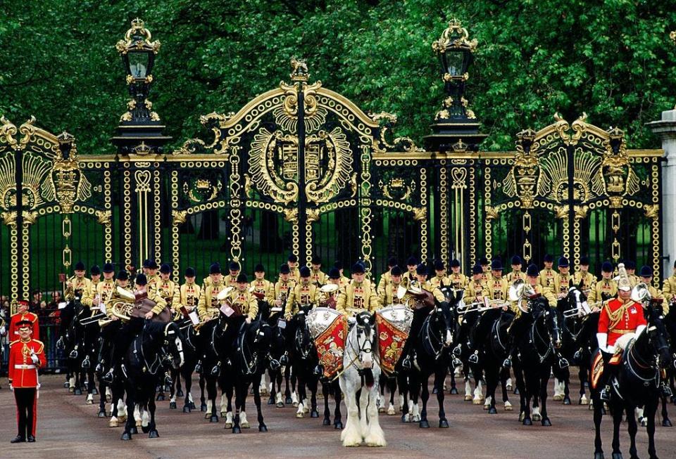 <p>A mounted drummer of the Household Division at the ceremony parade.</p>