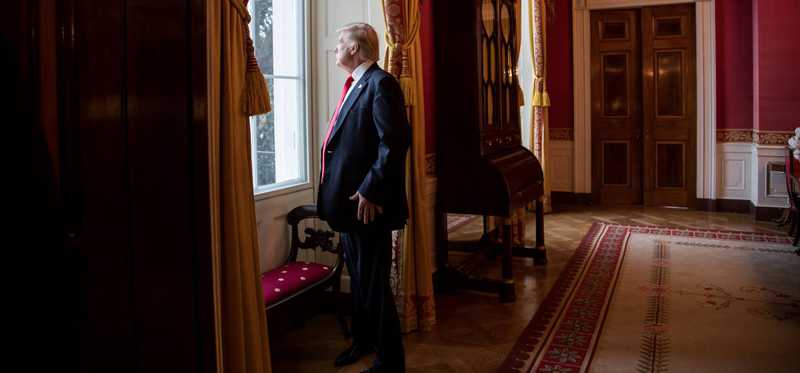 President Trump looking out a White House window.