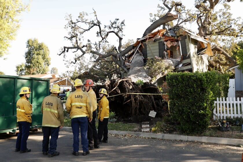 ENCINO, CA NOVEMBER 29, 2021 - LAFD on scene where a large tree that fell onto a home in Encino Sunday night, killing a 60-year-old man. Two women and a family dog were able to be rescued from the home unharmed. (Al Seib / Los Angeles Times)