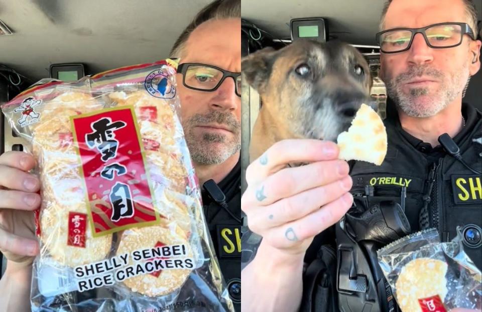 員警拿出台灣國民零食「雪の月雪餅」與警犬一起分享。（翻攝自radar_snacks TikTok）