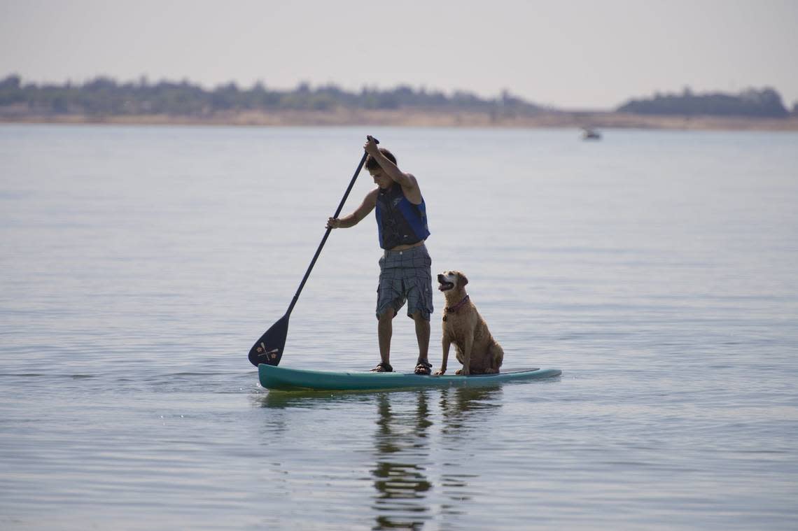 You don’t have to take the dog with you to Folsom Lake to try out a stand-up paddle board.
