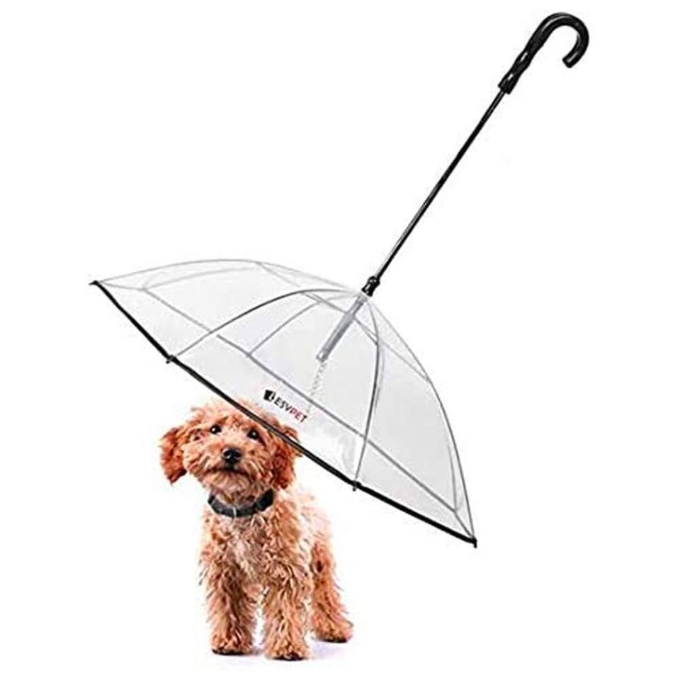 13) Dog Umbrella