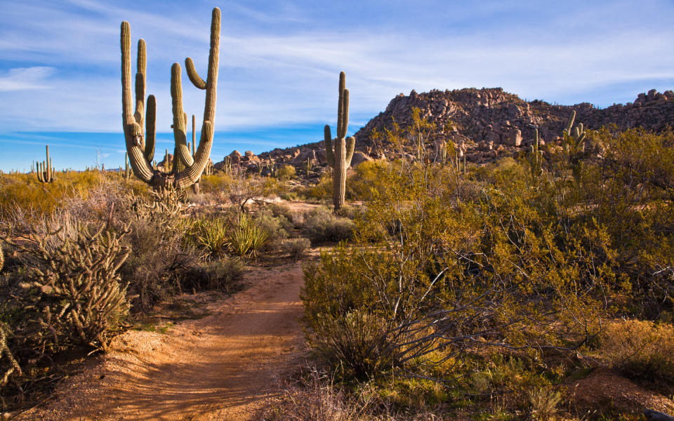 What keeps Scottsdale residents looking so good? It could be the abundant Vitamin D from its roughly 300 days of sunshine a year. Or possibly the hours spent walking in the McDowell Sonoran Preserve, which protects 30,000 acres of mountainous desert habitat. Then again, it could be the sheer volume of spas: more per capita than anywhere else in the United States. Whatever it is, its working, and Travel + Leisure readers have taken notice. Scottsdale also earns a perfect score for its plethora of luxury boutiques.