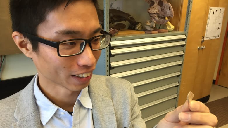 Dinosaur nesting research at the U of C shows similarities to birds