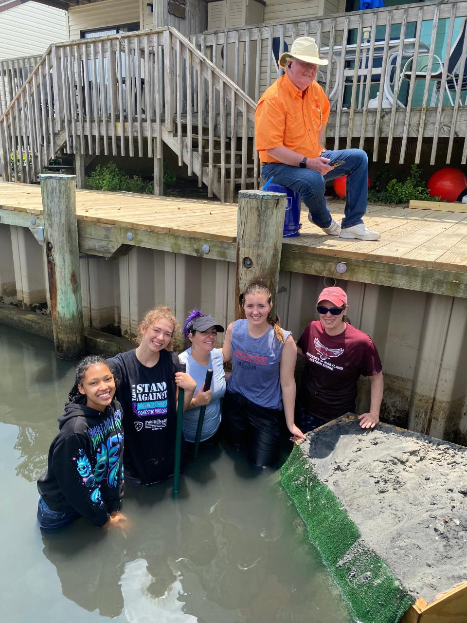 Undergraduate students at the University of Maryland Eastern Shore help build an artificial beach platform for spawning horseshoe crabs in the 94th Street canal in Ocean City in July.