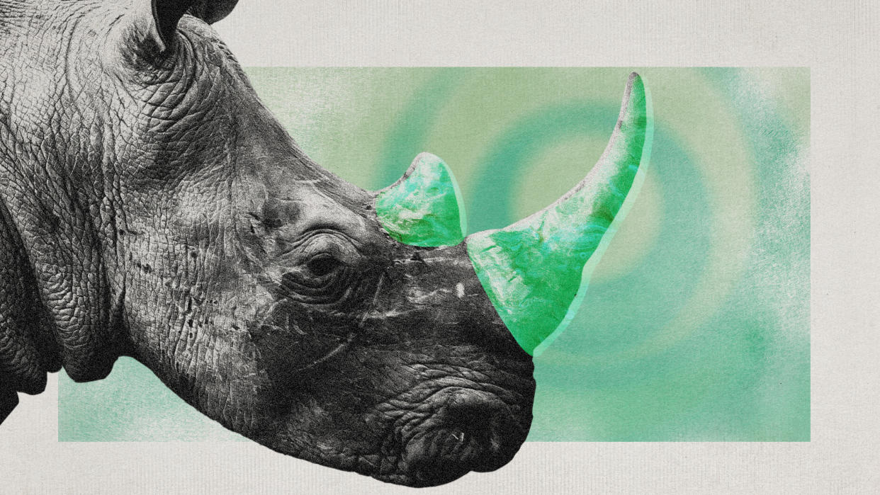  Photo collage of a rhinoceros with a glowing green overlay on its horns. 