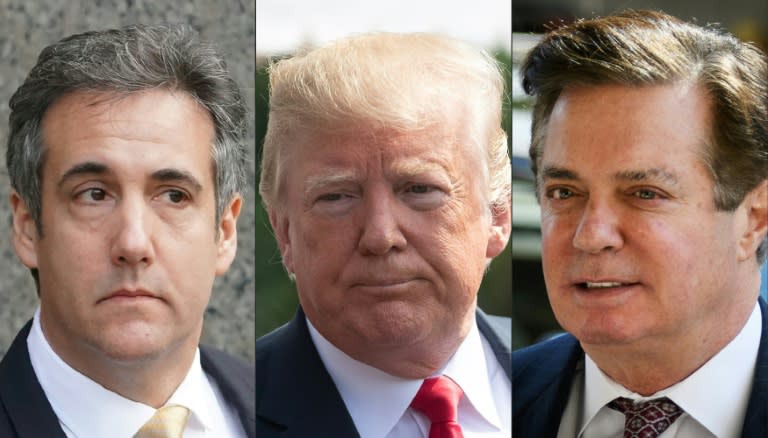 US President Donald Trump (C) was dealt back-to-back blows in the cases of his former lawyer Michael Cohen (L) and former campaign chairman Paul Manafort (R)