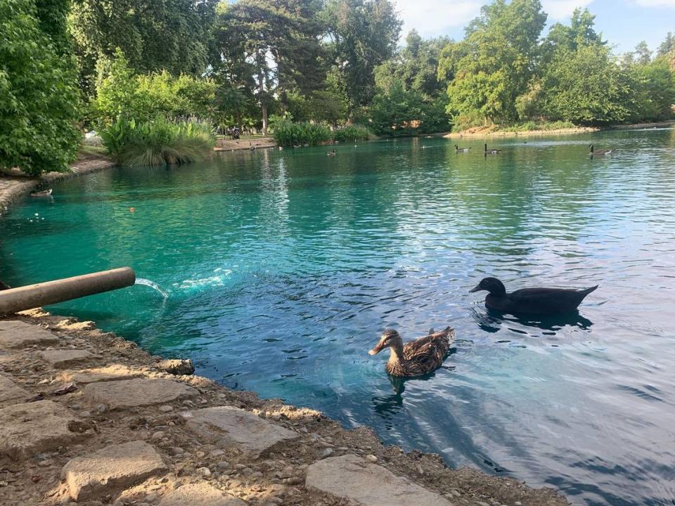 The blue-green waters at Lake Kiesel in McKinley Park at 601 Alhambra Blvd.