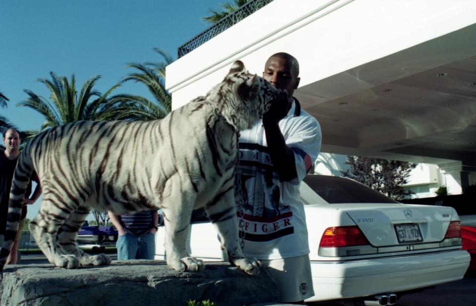 LAS VEGAS - CIRCA 1989: Mike Tyson poses with his white tiger during an interview at his home.  (Photo by: The Ring Magazine via Getty Images) 