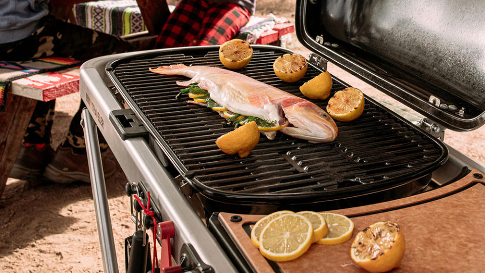 Weber Traveler Grill