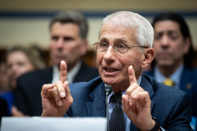 Dr. Anthony Fauci, former Director of the National Institute of Allergy and Infectious Diseases, testifies before a House committee Monday.