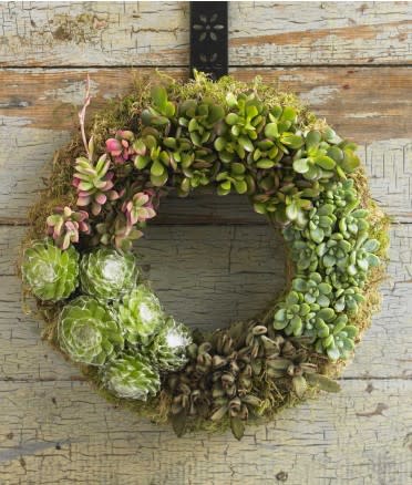 Succulent Wreath