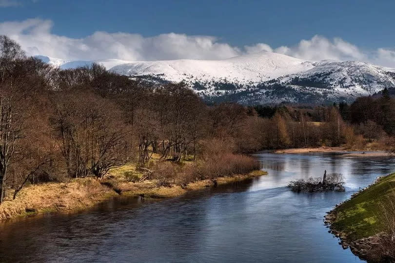 Dr Hamilton was paddleboarding on the River Spey