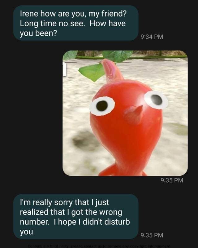 Person sends text saying "long time no see" and gets a blow-up toy in response and says "sorry, hope I didn't disturb you"