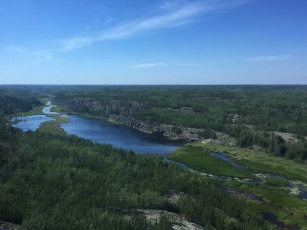 A patch of boreal forest northeast of Fort Smith, N.W.T. as seen from a helicopter. Lodges that operate in remote regions of the territory can apply to receive tourists from out of territory under new pandemic guidelines introduced this week.  The Office of the Chief Public Health Officer has also stated that it will consider allowing residents who travelled outside of N.W.T. to isolate at remote cabins or remote locations. (Jimmy Thomson/CBC - image credit)