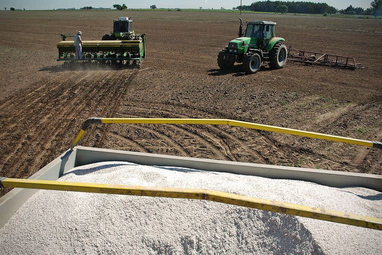 El valor de los fertilizantes sigue con tendencia bajista tras los picos inéditos de 2021