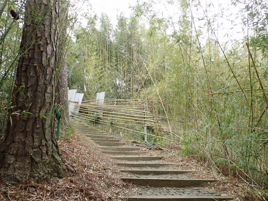 新竹十二寮登山步道