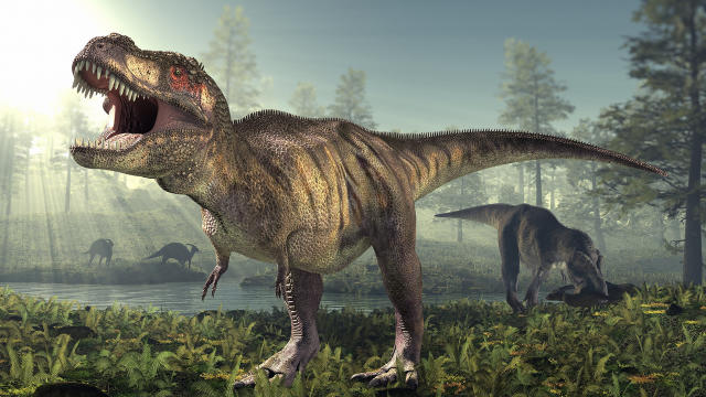 The Maximum Number Of T. Rex To Ever Walk The Earth Was 1.7 Billion