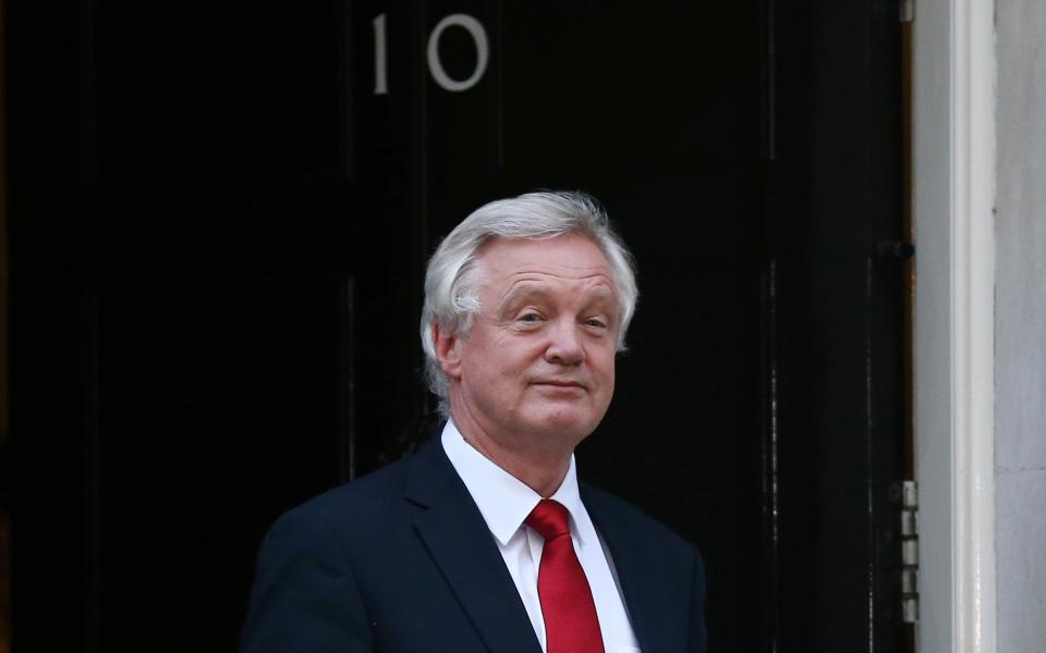 David Davis - Credit: AFP