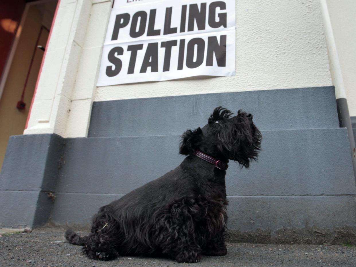 Dog waits for owner outside polling station in the Scottish Borders (PA)