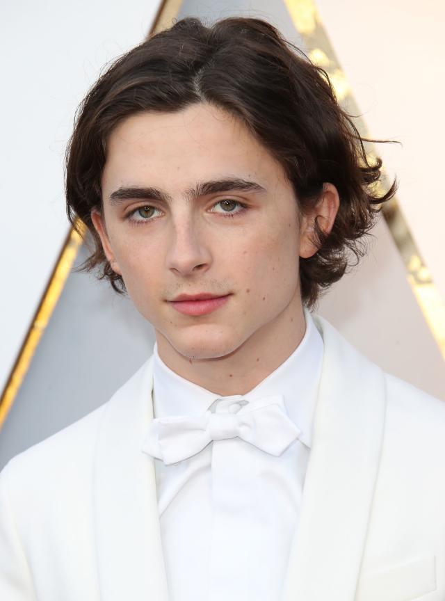 Timothée Chalamet's scruffy bedhead hair deserves all the awards