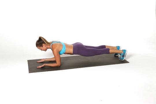 plank modifications