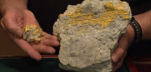 Gold worth $120,000 discovered in ancient river bed. Photo: 7News