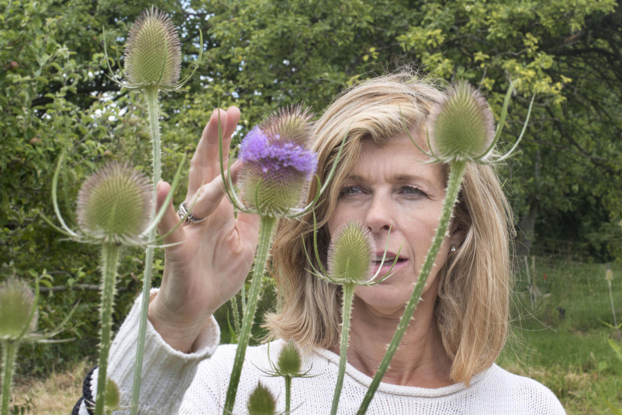 Programme Name: Walking With... - TX: n/a - Episode: Walking With Kate Garraway (No. Kate Garraway) - Picture Shows: looking at a wild teasel in the fields around Upton St Leonardâ€™s.  Kate Garraway - (C) Tim Smith - Photographer: Tim Smith