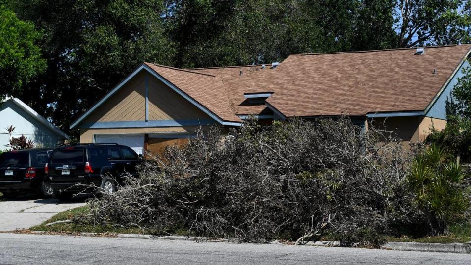 A home in Cordova Lakes subdivision is barely visible behind the wall of tree limbs and yard waste from Hurricane Ian.