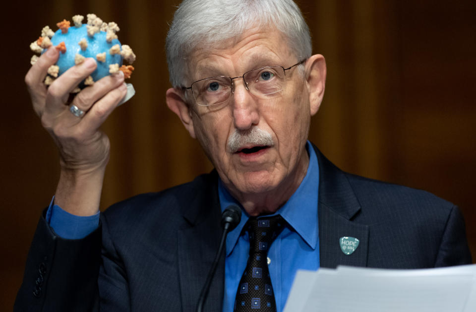 Dr. Francis Collins, director of the National Institutes of Health, holds up a model of the coronavirus